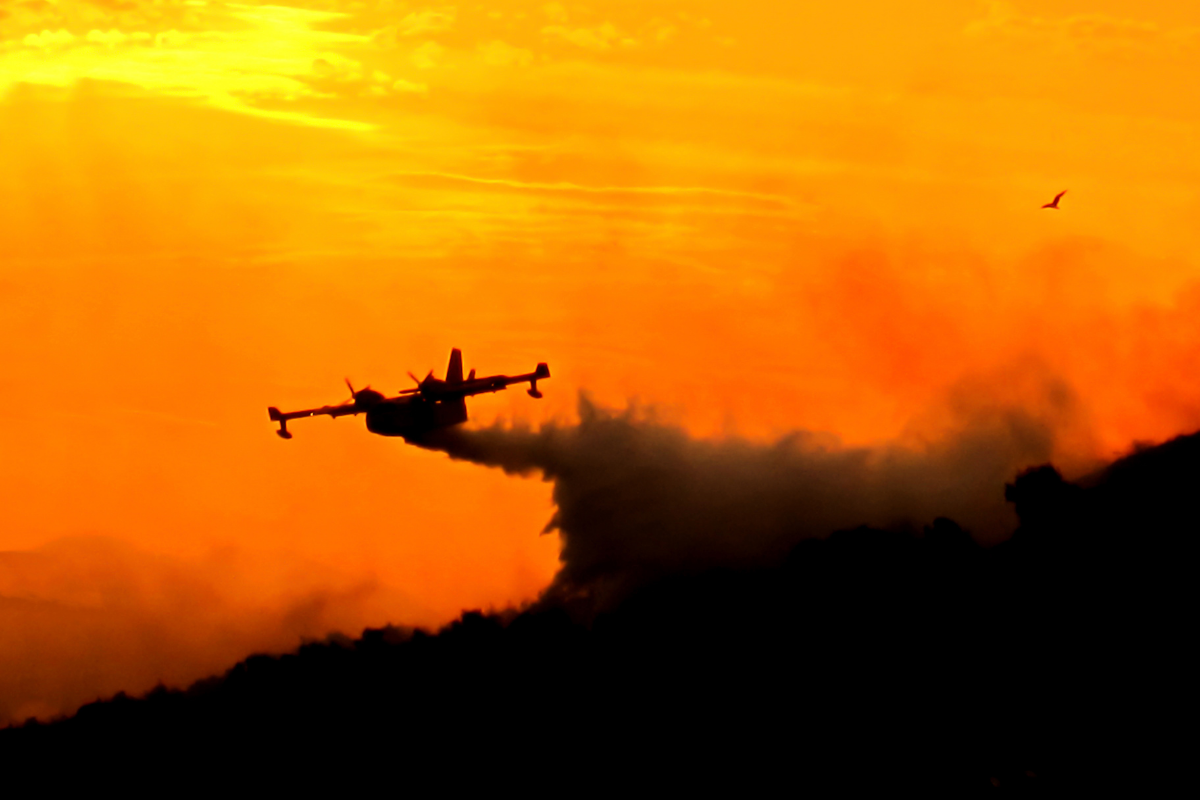 FHS-Website_FlightSat_Photo-Water-Bomber